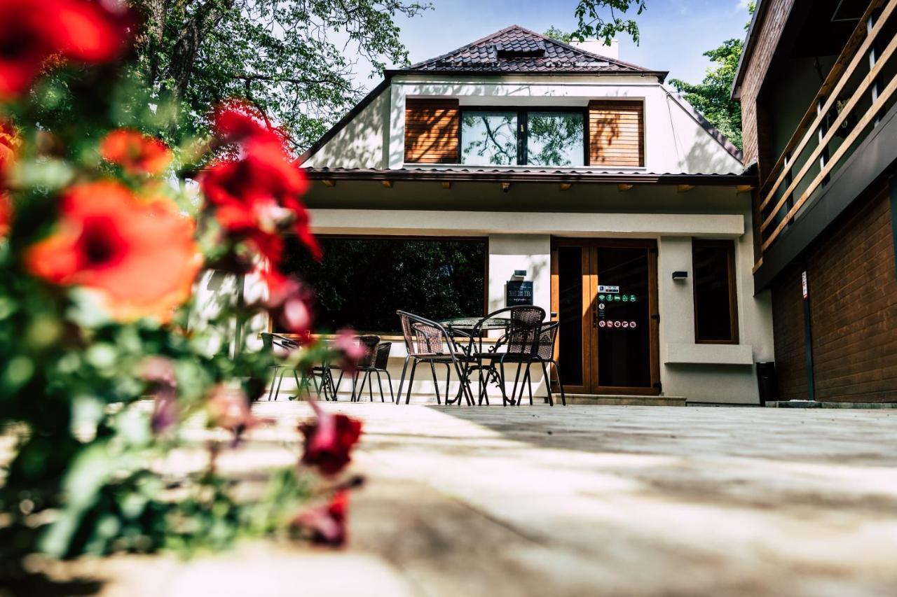 Mer Guest House B&B Μπρασόβ Εξωτερικό φωτογραφία